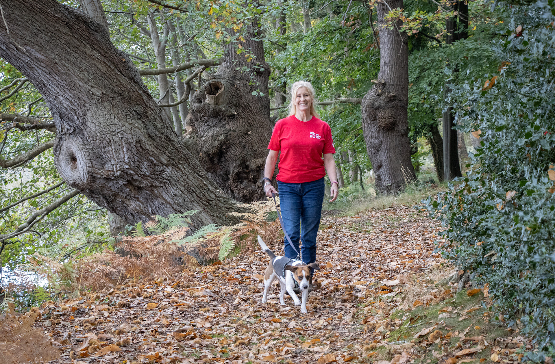 We Love Pets Franchisee walking a dog 