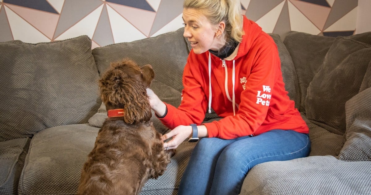 We Love Pets Franchisee