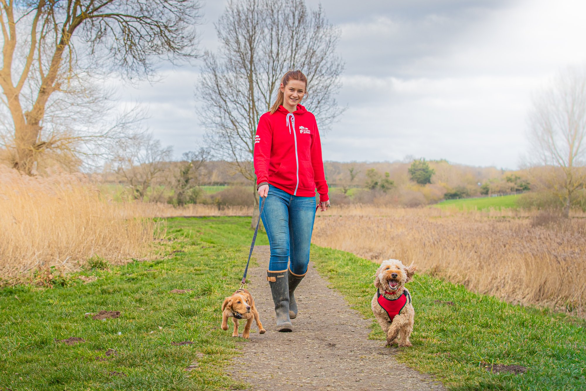 Louise dog walking with We Love Pets