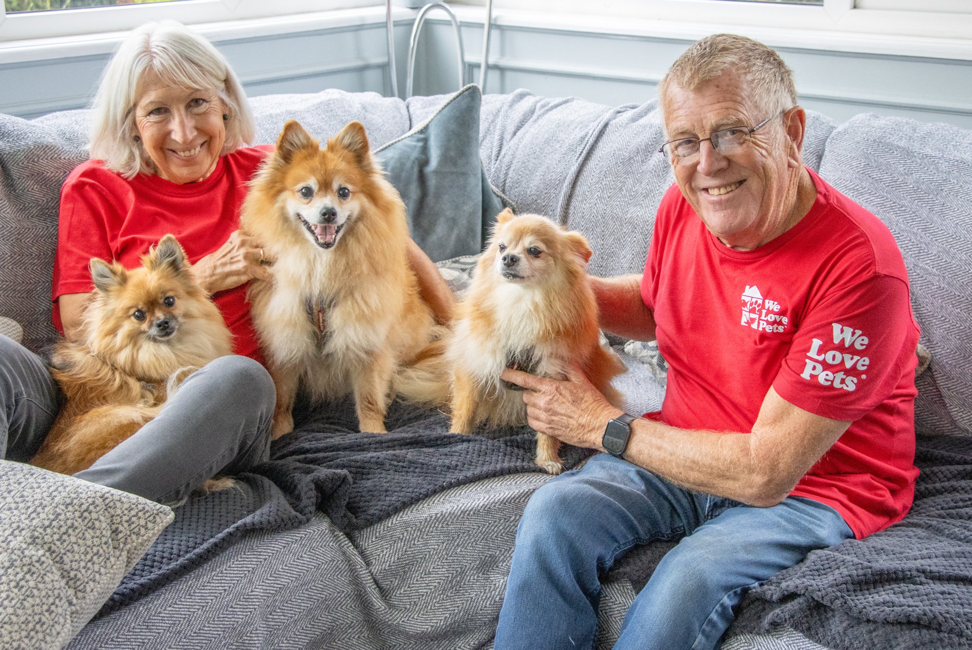 Retired couple sitting on a sofa with three dogs in home boarding Retired couple sitting on a sofa with three dogs in home boarding