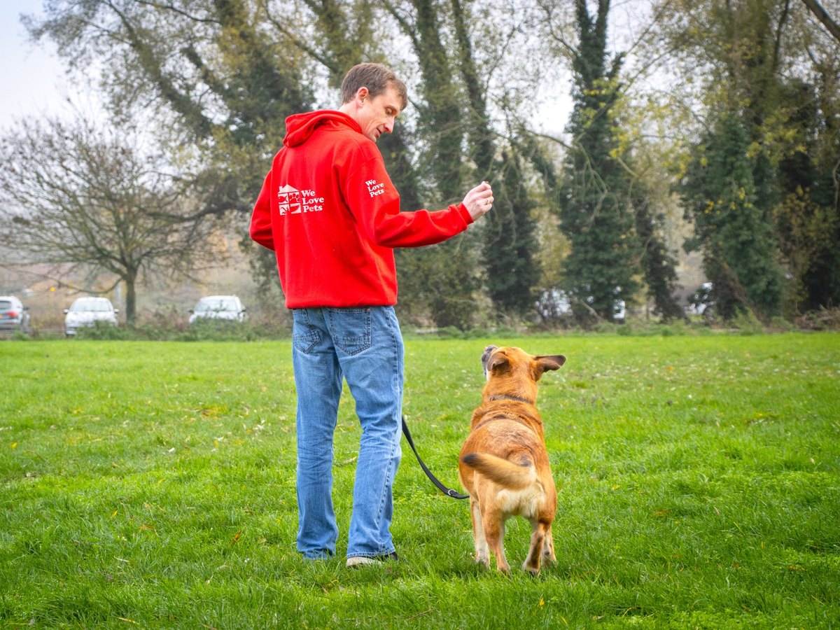 Bryan, owner of We Love Pets Livingston